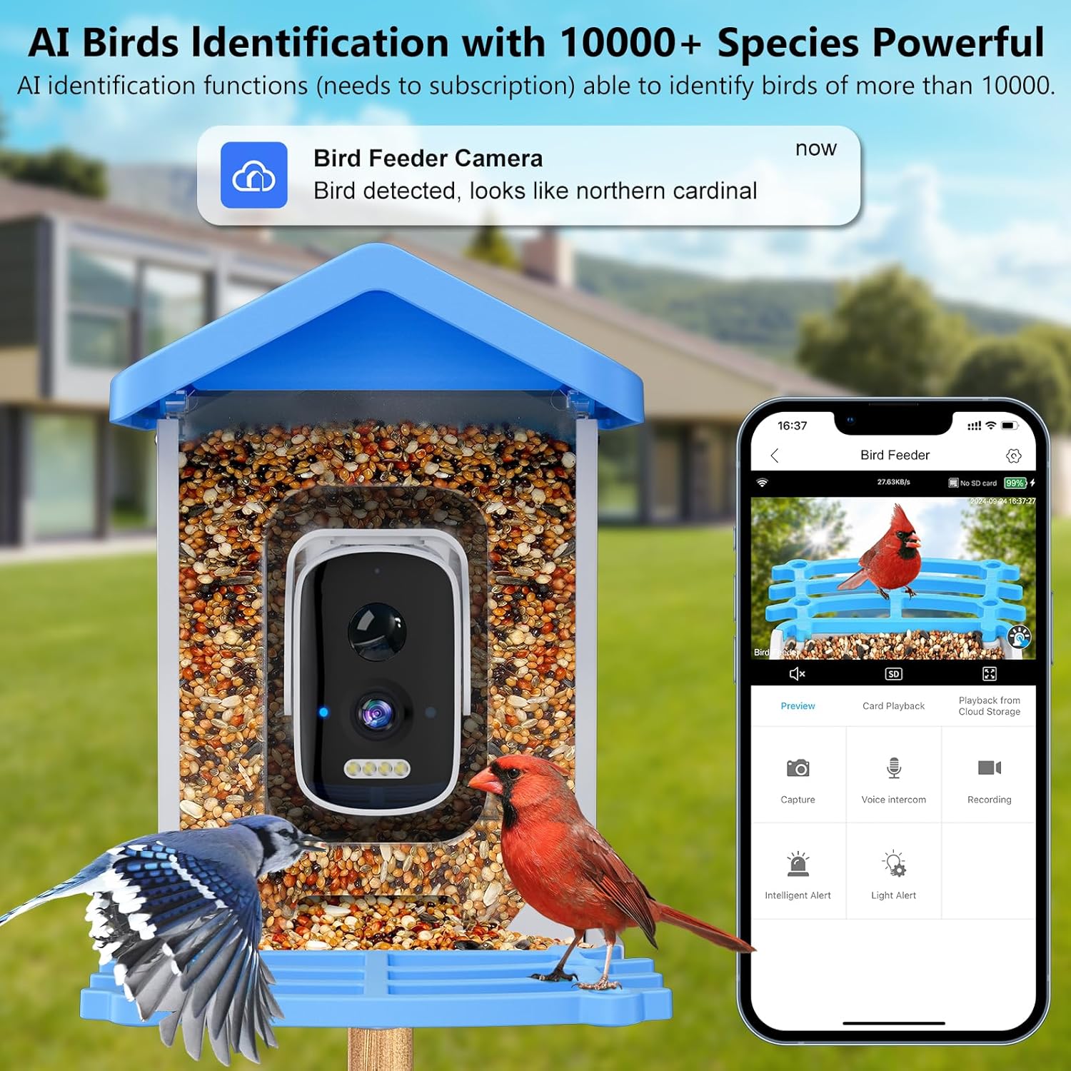 Smart Garden Ai - เครื่องให้อาหารนกอัจฉริยะพร้อมกล้อง AI ระบุชนิดนก พลังงานแสงอาทิตย์ ไร้สาย กล้องนก