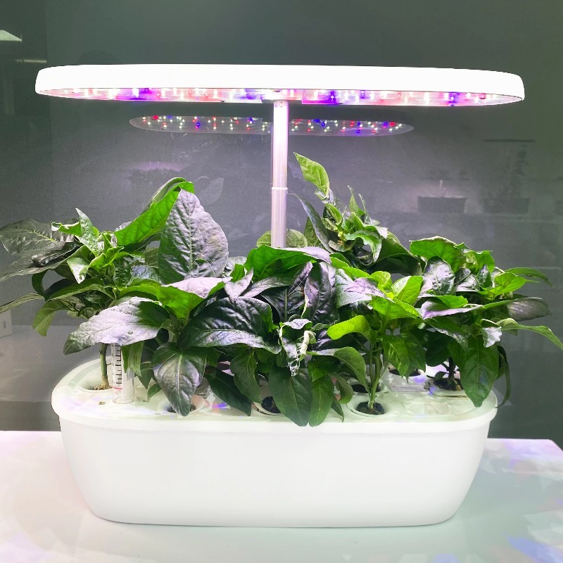 Smart Garden Design - ระบบสวนไฮโดรโปนิกส์อัจฉริยะภายในบ้าน ดีไซน์หรูหราสำหรับบ้านพักอาศัย พร้อมระบบปลูกพืชไฮโดรโปนิกส์ในตัว
