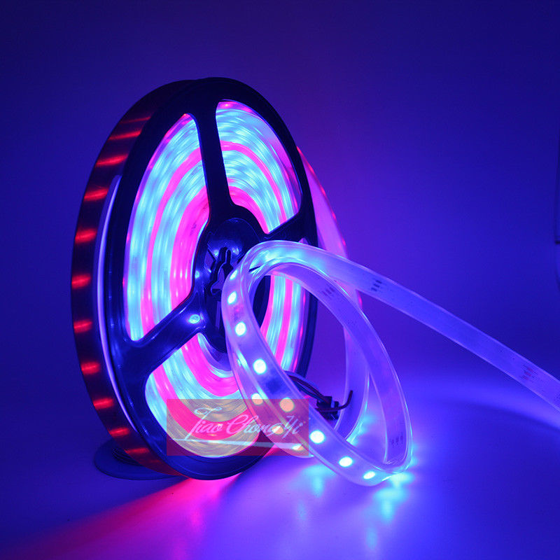 ไฟ LED แบบแถบ DC12V 5M Chasing - Smart Garden Diy บทวิจารณ์และราคา