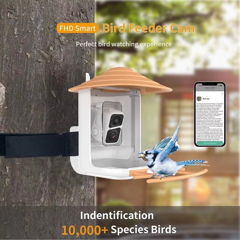 เครื่องให้อาหารนกอัจฉริยะ AI ข - Smart Garden Ai บทวิจารณ์และราคา