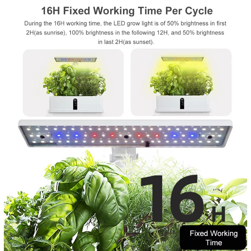 ระบบปลูกพืชไฮโดรโพนิกส์อัจฉริย - Smart Garden Is บทวิจารณ์และราคา