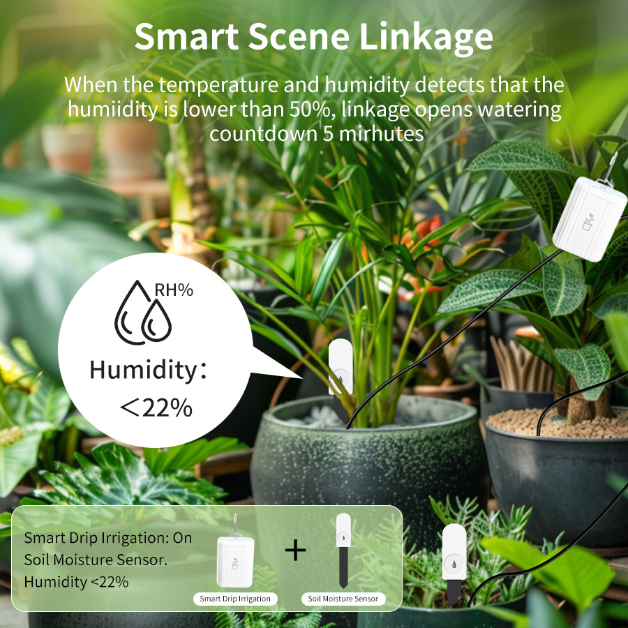 เครื่องวัดความชื้นและอุณหภูมิด - Smart Garden Sensors บทวิจารณ์และราคา