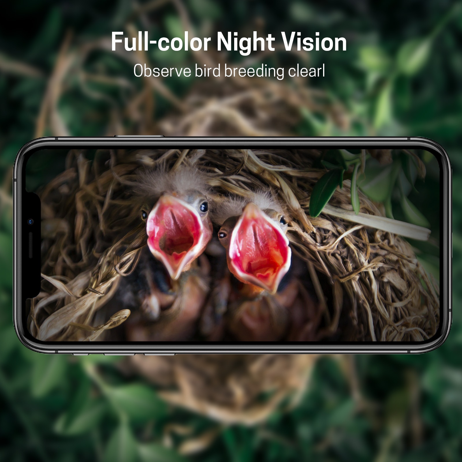 บ้านนกกล้องถ่ายรูป Nanxin ขายด - Smart Garden Ai บทวิจารณ์และราคา