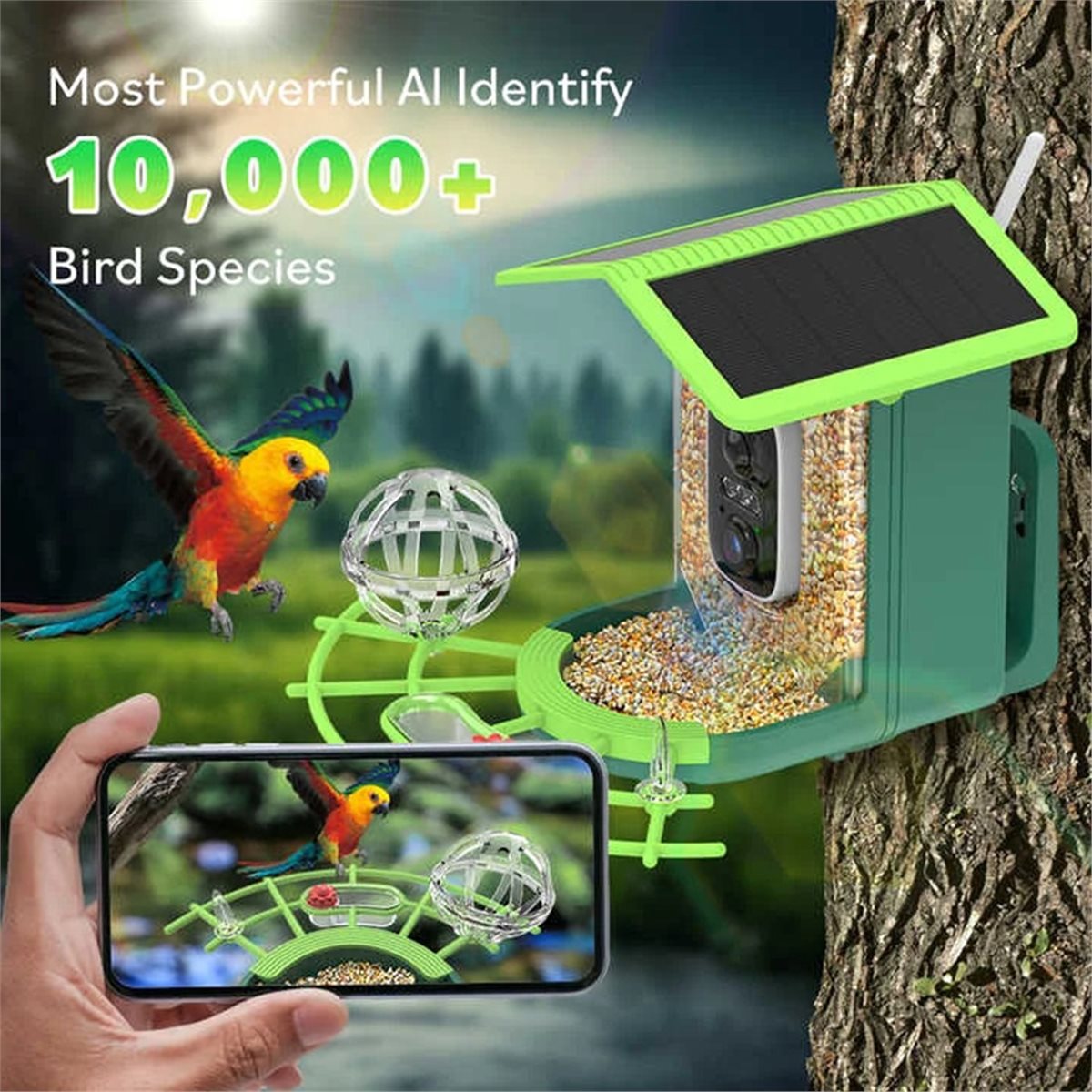 กล้องให้อาหารนกอัจฉริยะ ABPP พ - Smart Garden Ai บทวิจารณ์และราคา