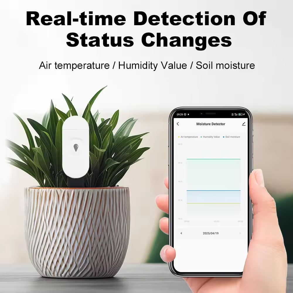 Tuya Zigbee อุณหภูมิความชื้นเค - Smart Garden Sensors บทวิจารณ์และราคา