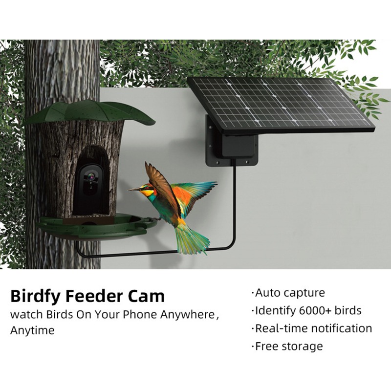 เครื่องให้อาหารนกอัจฉริยะพลังง - Smart Garden Ai บทวิจารณ์และราคา