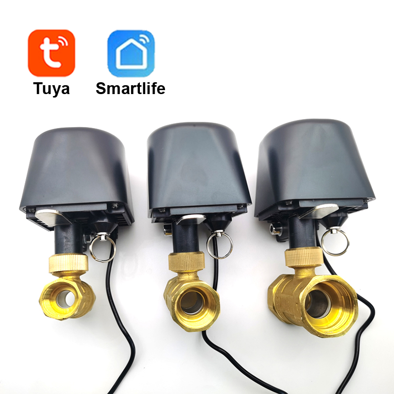 Tuya WiFi หรือ Zigbee วาล์วน้ํ - Smart Garden Sensors บทวิจารณ์และราคา